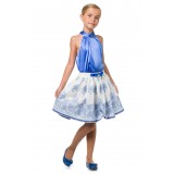 Suit shirt blue silk and milk skirt with blue embroidery