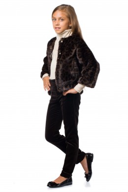 Short fur leopard