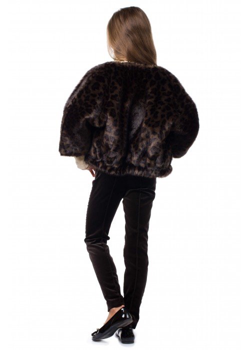 Short fur leopard