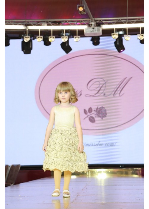 Dress Rosie gold